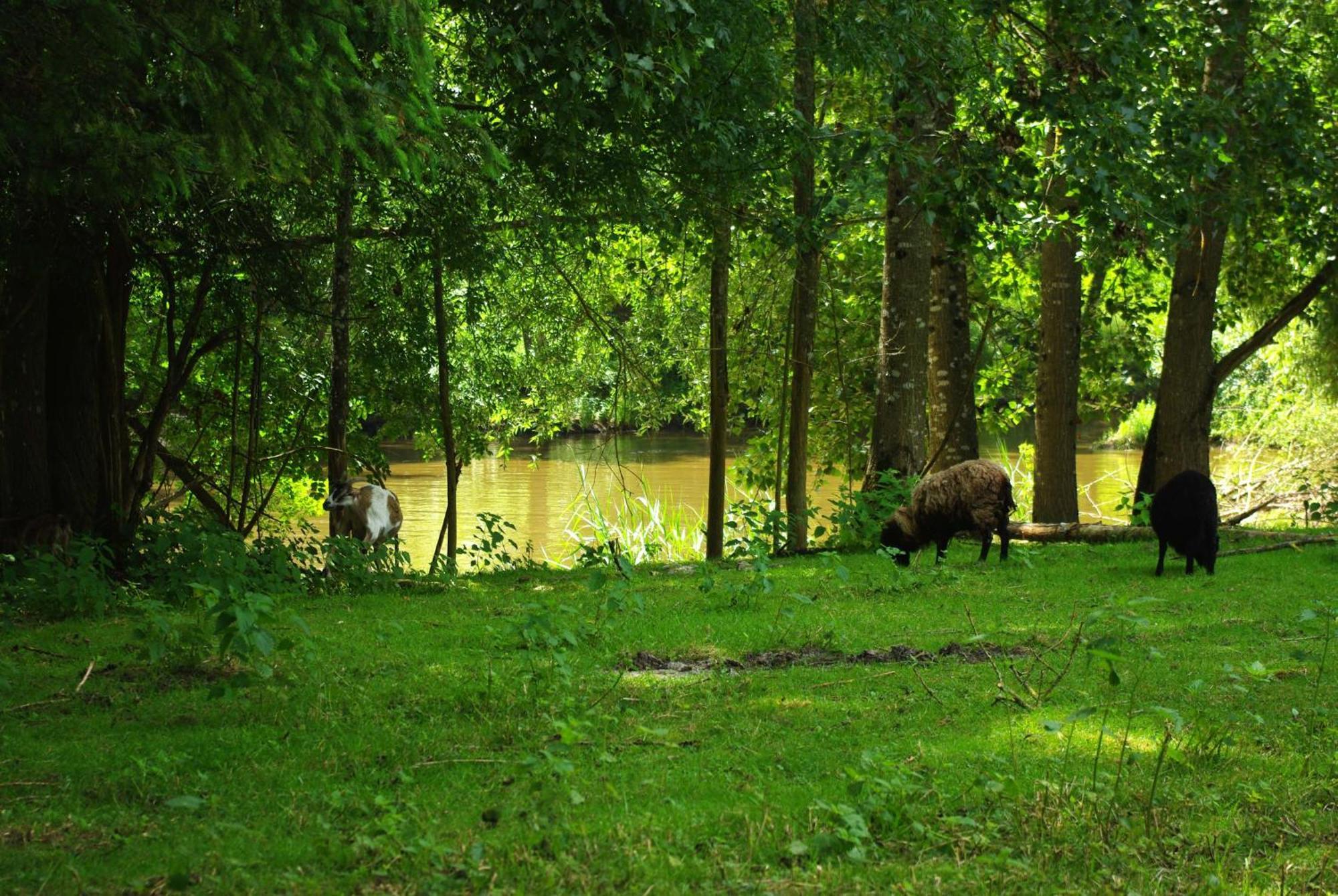 Maison D'Hotes Moulin Du Bas Pese Mont-près-Chambord Zewnętrze zdjęcie