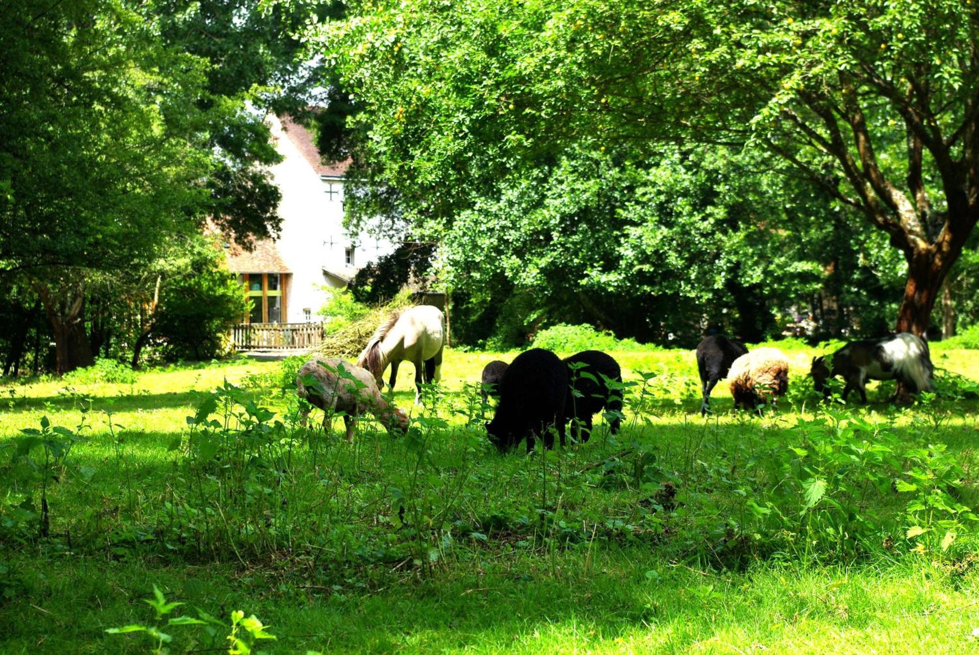 Maison D'Hotes Moulin Du Bas Pese Mont-près-Chambord Zewnętrze zdjęcie